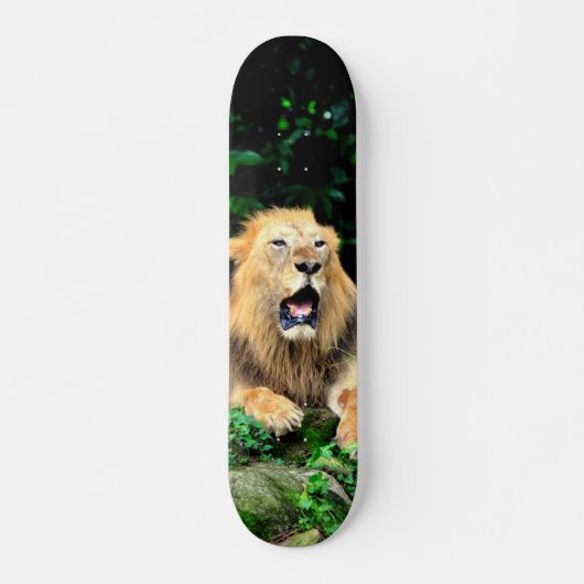 Tabla de Skate León Salvaje Bostezando スケートボード (正面)