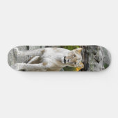 Tabla de Skate Leona Salvaje Sentada スケートボード (横)