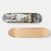 Tabla de Skate Leona Salvaje Sentada スケートボード (横)