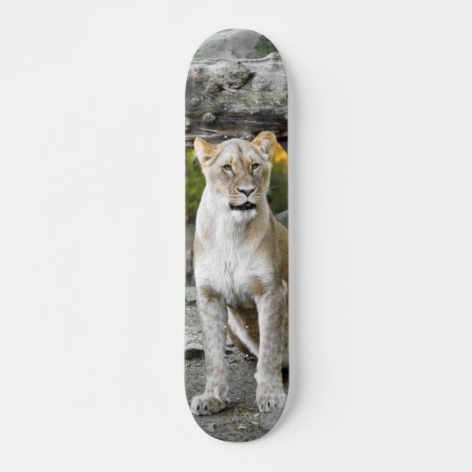 Tabla de Skate Leona Salvaje Sentada スケートボード (正面)
