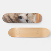 Tabla de Skate Lobo Blanco en el Atardecer スケートボード (横)