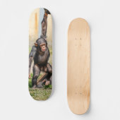 Tabla de Skate Mono Chimpancé Guindado スケートボード (正面)
