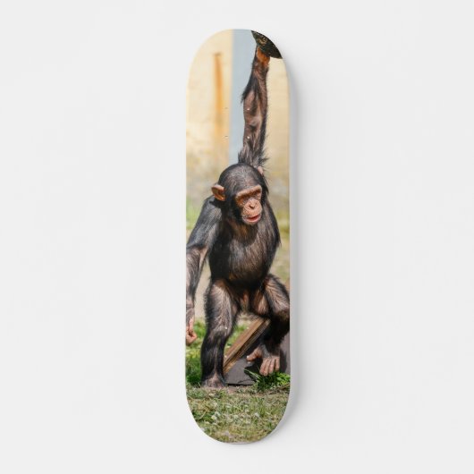 Tabla de Skate Mono Chimpancé Guindado スケートボード (正面)