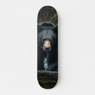 Tabla de Skate Oso Negro Depredador en un Arroyo スケートボード