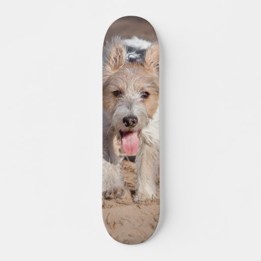 Tabla de Skate Perrito Parson Terrier Feliz スケートボード (正面)