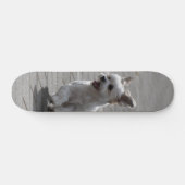 Tabla de Skate Perrito Peludo Blanco Corriendo スケートボード (横)