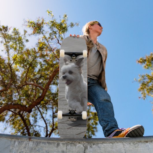 Tabla de Skate Perrito Peludo Blanco Corriendo スケートボード (室外1)