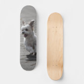 Tabla de Skate Perrito Peludo Blanco Corriendo スケートボード (正面)