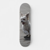 Tabla de Skate Perrito Peludo Blanco Corriendo スケートボード (正面)