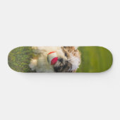 Tabla de Skate Perrito Peludo con su pelota スケートボード (横)