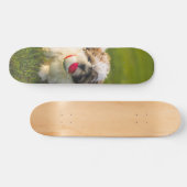Tabla de Skate Perrito Peludo con su pelota スケートボード (横)