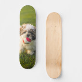 Tabla de Skate Perrito Peludo con su pelota スケートボード (正面)