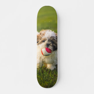 Tabla de Skate Perrito Peludo con su pelota スケートボード