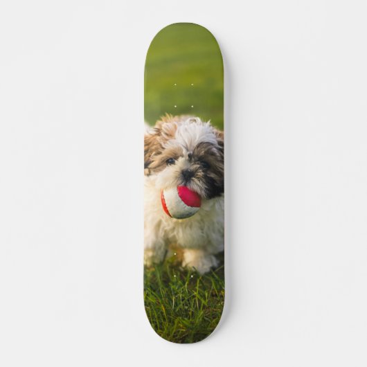 Tabla de Skate Perrito Peludo con su pelota スケートボード (正面)