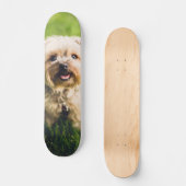 Tabla de Skate Perrito Terrier Adorable スケートボード (正面)