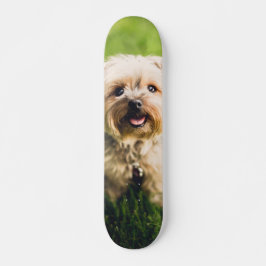 Tabla de Skate Perrito Terrier Adorable スケートボード