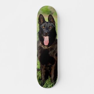 Tabla de Skate Perro Pastor Alemán Negro Sentado スケートボード