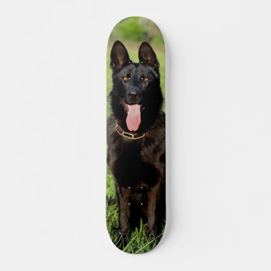 Tabla de Skate Perro Pastor Alemán Negro Sentado スケートボード (正面)