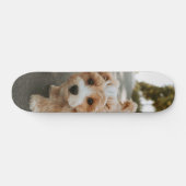 Tabla de Skate Perro Peludo Colores Crema y Blanco スケートボード (横)
