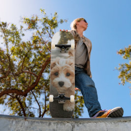 Tabla de Skate Perro Peludo Colores Crema y Blanco スケートボード