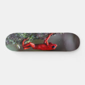 Tabla de Skate Rana Dardo Venenoso スケートボード (横)