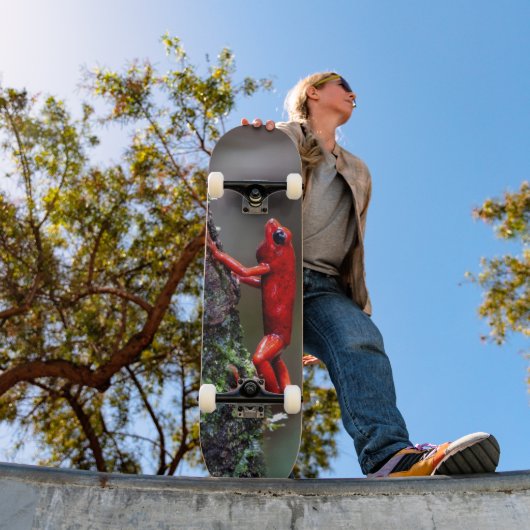 Tabla de Skate Rana Dardo Venenoso スケートボード (室外1)