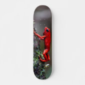 Tabla de Skate Rana Dardo Venenoso スケートボード (正面)
