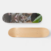 Tabla de Skate Ratón Mojado Salvaje スケートボード (横)