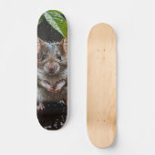 Tabla de Skate Ratón Mojado Salvaje スケートボード (正面)