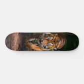 Tabla de Skate Tigre en el Bosque oscuro スケートボード (横)