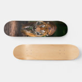 Tabla de Skate Tigre en el Bosque oscuro スケートボード (横)
