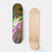Tabla Skate Rana Arbórea de Ojos Rojos スケートボード (正面)