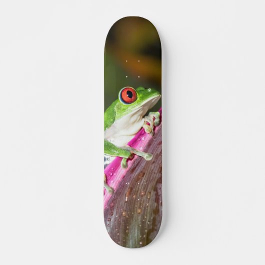 Tabla Skate Rana Arbórea de Ojos Rojos スケートボード (正面)