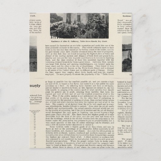 Table Grove Ranch，カリフォルニア ポストカード (正面)