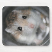 - TACのマウスマットを調べること マウスパッド (正面)