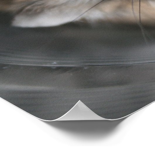 Tac stelle – ポスター (角)