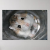 Tac stelle – ポスター (正面)