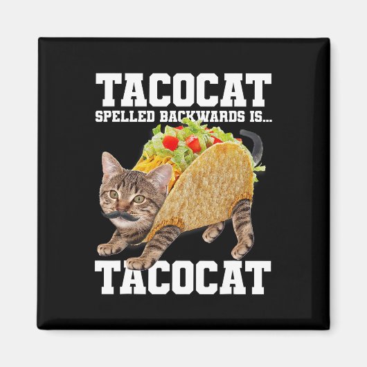 Taco Cat Spelling BackwardsはTacocatミーム間抜けC マグネット (正面)