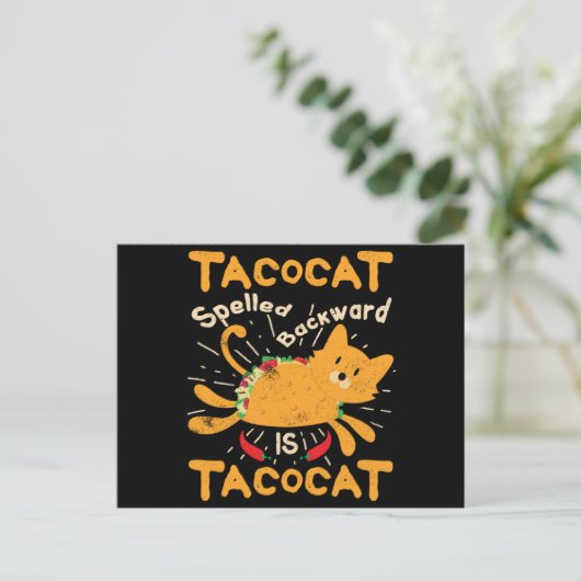 TacocatはCinco deメーヨー猫のタコスを後方に綴りました ポストカード (スタンド正面)