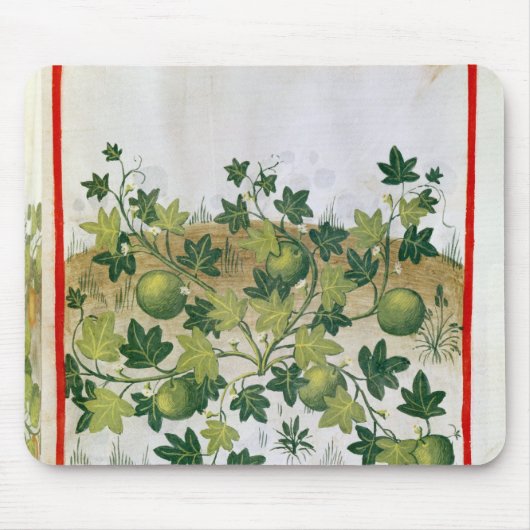 「Tacuinum Sanitatisからの氏3054 fol.20メロン、 マウスパッド (正面)