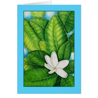 TahitianのGardenia