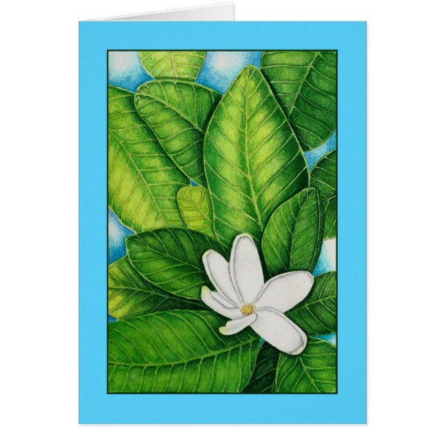 TahitianのGardenia (正面)