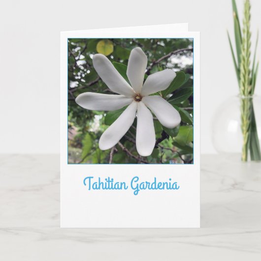 TahitianのGardenia カード (正面)
