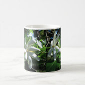 TahitianのGardenia コーヒーマグカップ (中央)