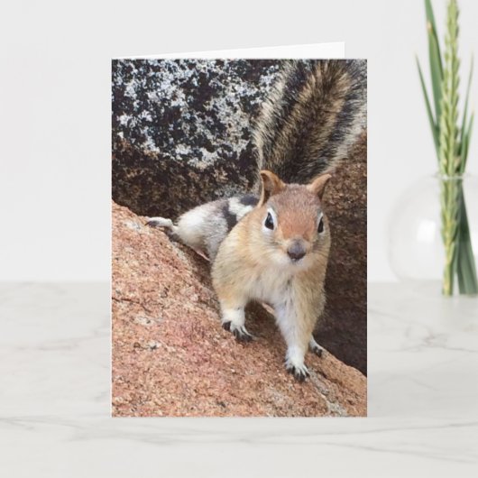 Tahoe Squirrelノートカード()  招待状 (正面)