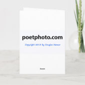 Tahquitz Peak at Night Greeting Card カード (裏面)