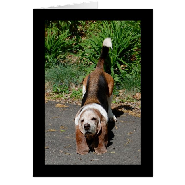 Taiのキーのマスター (正面)