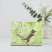 Taiのキーをしているかわいいリス ポストカード (スタンド正面)