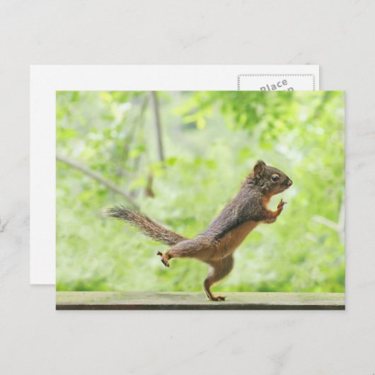 Taiのキーをしているかわいいリス ポストカード (正面/裏面)
