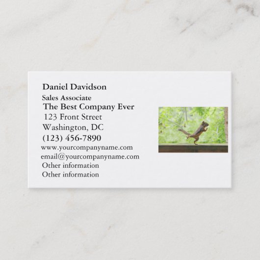 Taiのキーをしているかわいいリス 名刺 (正面)